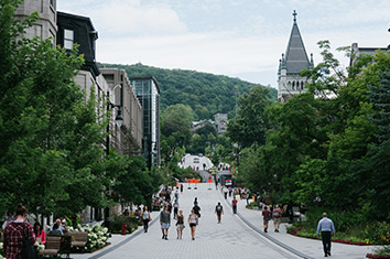 A moderately busy tiled pedestrian walkway, with leafy trees and buildings on either side of it, leading towards a mountain.