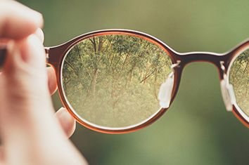 Trees framed through the lens of a pair of brown glasses held in a hand.