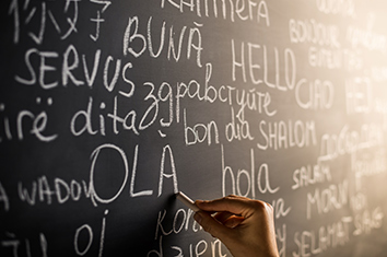 Des mots en plusieurs langues sont écrits à la main sur un tableau noir.