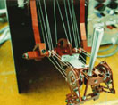 The Cutting Edge: Royal Society Lectures in Science