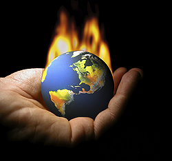 CWOQs 4A  Numbers or Chicken Bones: Responses to an Uncertain Environmental Future