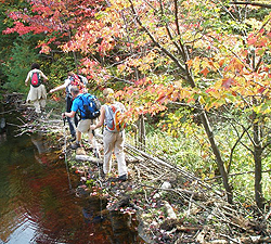Hiking in Gatineau Park