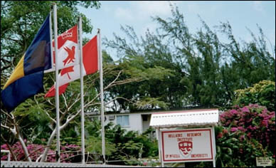 Reception in Barbados