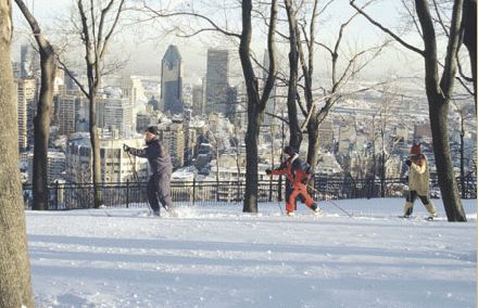 Cross Country Skiing on Mont Royal - SOLD OUT!