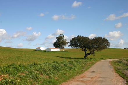 Study Groups and Lectures: Landscapes of France