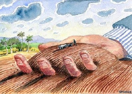 Study Groups and Lectures: Feeding the World
