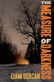 The Process of Writing: An Author's Perspective