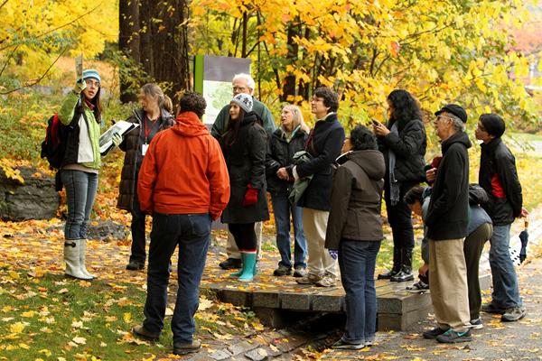 Guided tour of Mount Royal Park