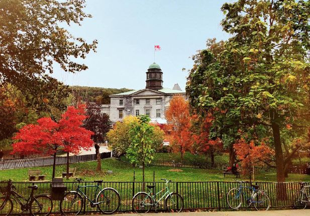 Redpath Museum - Leafy Legacy: Guided Tour of the Trees of McGill
