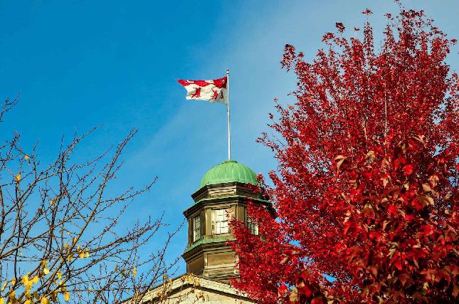 Med'85 - 40th Reunion Cocktail Celebration