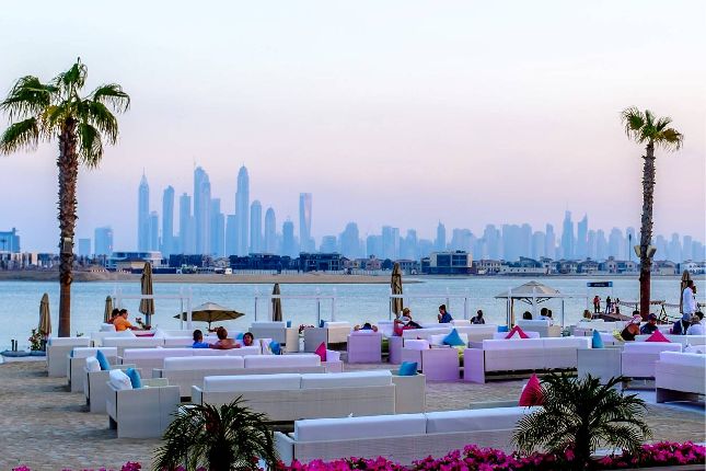 Beach-side Alumni Networking Event