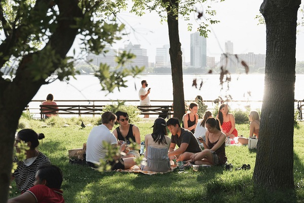 friends having a picnic in a park