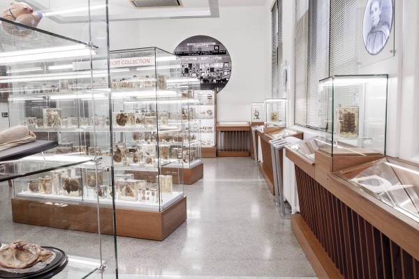 Open House & Tour: Maude Abbott Medical Museum