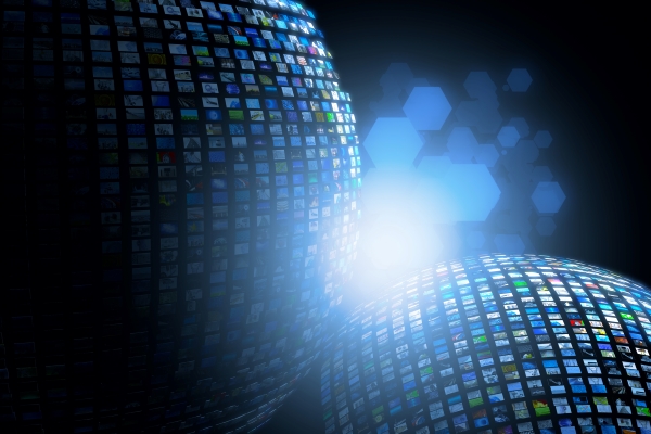 Linguistic Diversity and Inclusion in the Digital Age