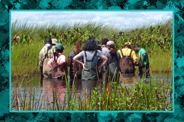 Three Stars in Science' s McGill Learning and Research Constellation: Field Semester Experiences