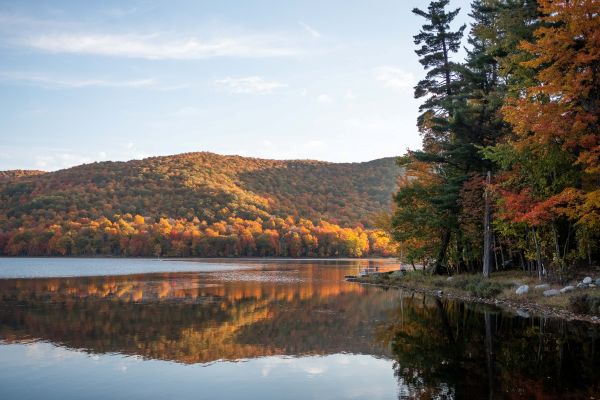 Enjoy the autumn colours at the McGill Gault Nature Reserve