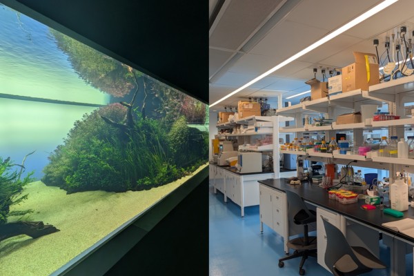 Biology Lab Tours & Social