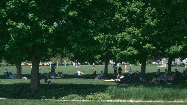 People enjoying picnic in a park