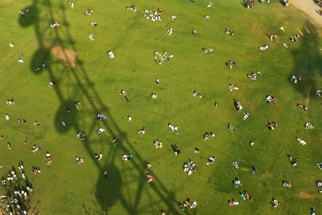 MAA London - Summer Picnic